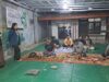 Mahasiswa KKN UNDIP Ajak Warga Desa Karangjompo Kelola Sampah Organik dengan Teknologi Maggot