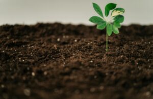 Kepada Penghuni Planet: Menikmati Boleh, Mengeksploitasi Jangan