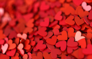 Berpetualang Bersama Cinta