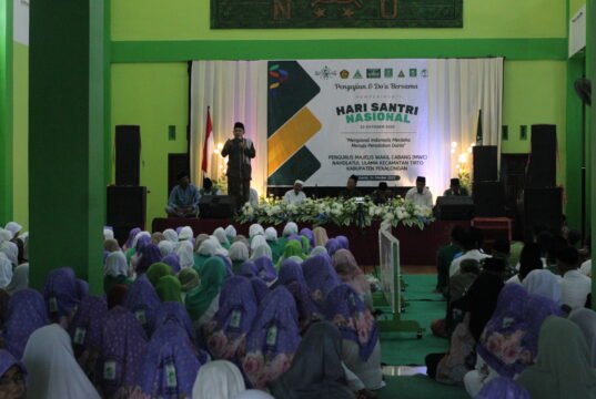 IMG_0513-1-537x360
