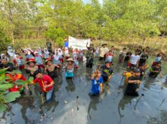 Ekowisata Mangrove Mulyoasri Tanam 13.000 Pohon untuk Dukung Program Mageri Segoro