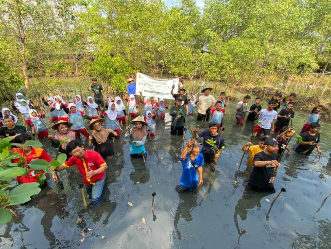 Ekowisata Mangrove Mulyoasri Tanam 13.000 Pohon untuk Dukung Program Mageri Segoro