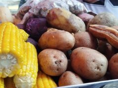 Jajan Rebusan dan Krisis Ekologi