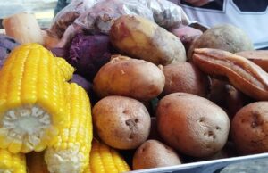 Jajan Rebusan dan Krisis Ekologi