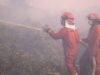 Papua Dikeruk, Kalimantan Dibakar, Aceh Digunduli: Mau Dibawa ke Mana Indonesia?