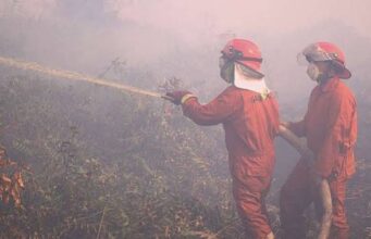 Papua Dikeruk, Kalimantan Dibakar, Aceh Digunduli: Mau Dibawa ke Mana Indonesia?