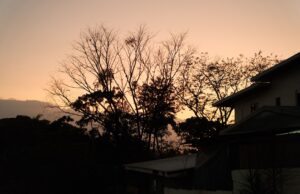 Senja di Antara Kita